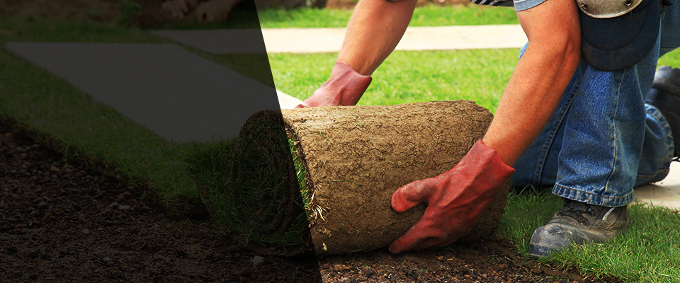 Kelso Landscapers